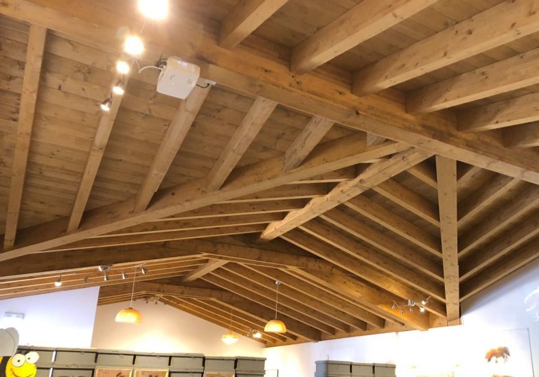 Aula de las abejas 3