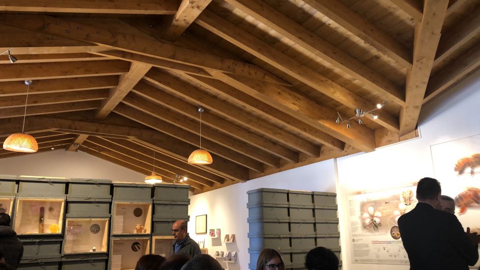 El-aula-de-las-abejas
